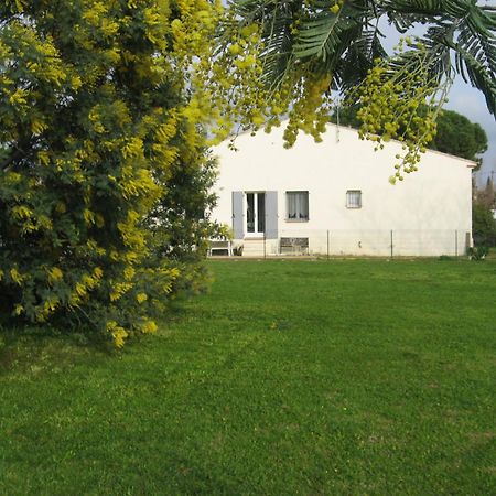 Appartamento rez de chaussé La Londe-les-Maures Esterno foto